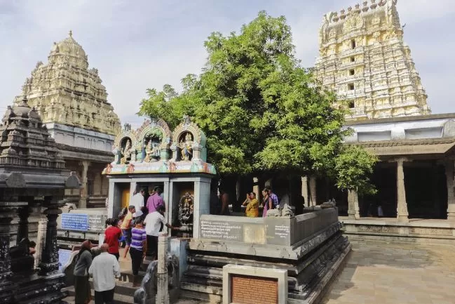 Panguni Uthiram Multiple temples in Kanchipuram